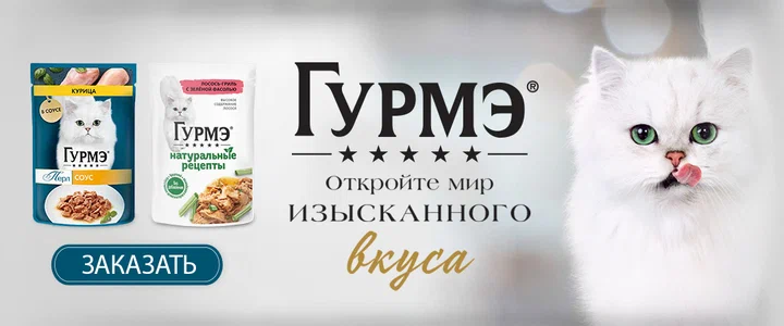 KinHealth - Trattamenti